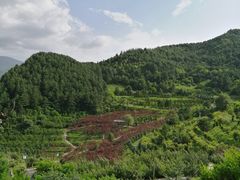 -翠矶山公园