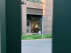 -猫里有甜