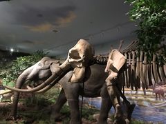 -湖南省地质博物馆