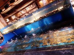 -星伦多 自助料理(圆融店)