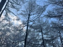 -崂山巨峰游览区