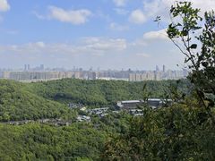 -西湖外事游船(湖滨二公园外事游船码头)