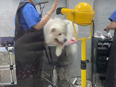 -宠福鑫康馨动物医院·骨科·眼科