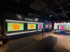 -Sony Store索尼(广州正佳店)