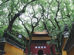 -普陀山风景名胜区-法雨禅寺