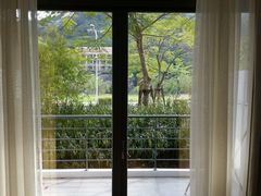 -厦门国家会计学院