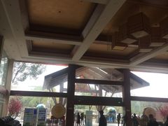 -三江森林温泉度假区