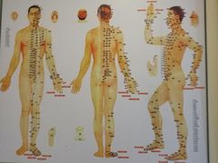 -益友堂盲人推拿正骨穴位按摩工作室