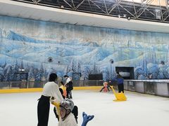 -世界之窗阿尔卑斯冰雪世界