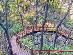 -大岭沟猕猴桃谷风景区
