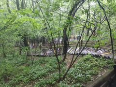 -天目湖山水园