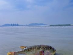 -三亚西岛海洋文化旅游区