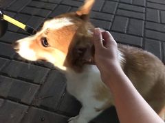 -纯K(打浦桥店)