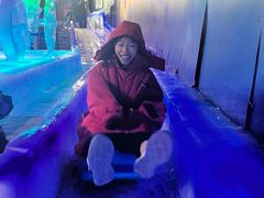 -海合安成都极地海洋公园