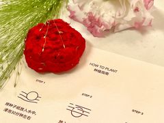-LAN一见岚·精品蛋糕(琶洲保利店)