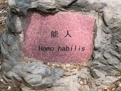 -北京周口店北京人遗址博物馆
