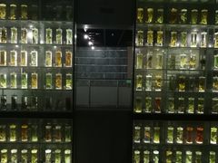 -广东中医药博物馆
