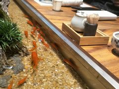 -森味薪火烧•烧鸟居酒屋•日本料理(望京店)