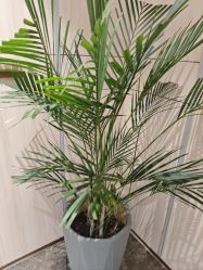 -奥本瑜伽·普拉提