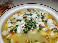 -青花椒花椒鱼(合生汇店)