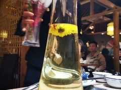 -探窝·竹笙椰子鸡(杨箕店)