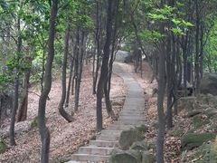 -火炉山森林公园