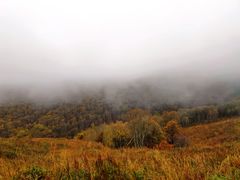 -灵山