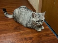 -H立方实景剧情密室(天河旗舰店)