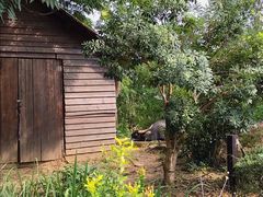 -茅山东方盐湖城景区