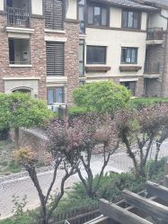 -芙蓉花月子会所(朝阳区店)