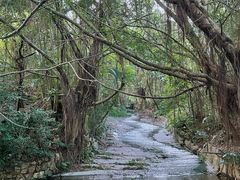 -燕晗山郊野公园