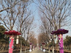 -洛阳市隋唐城遗址植物园