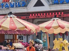 -沈阳方特欢乐世界