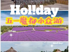 -上海杨姆庄园