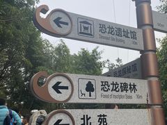 -自贡恐龙博物馆