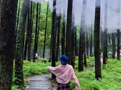 -洛阳白云山景区