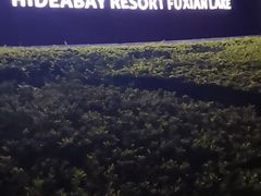 -抚仙湖万达文华酒店