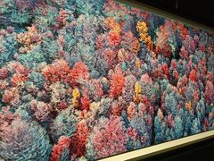 -罗红摄影艺术馆