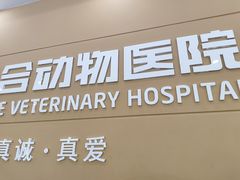 -德元·美联众合24小时动物医院(总院)