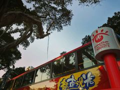 -广州都市观光巴士(粤陶巴)