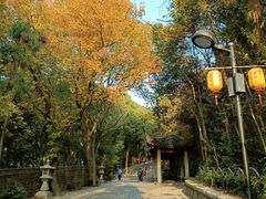 -灵岩山风景区