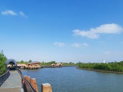 -东寨港红树林旅游区