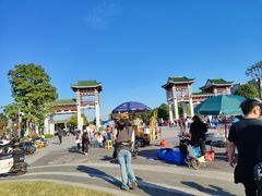 -王借岗森林公园