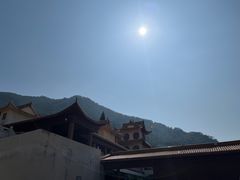 -深圳仙湖植物园