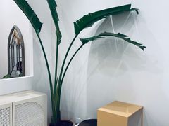 -echoes coffee回响咖啡(红山店)