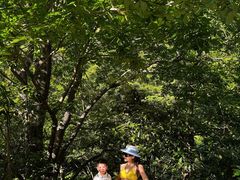 -浙北大峡谷