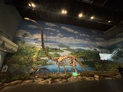 -自贡恐龙博物馆