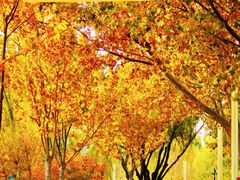 -廊坊文化艺术中心