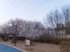 -太阳宫公园