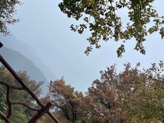 -广州市石门国家森林公园